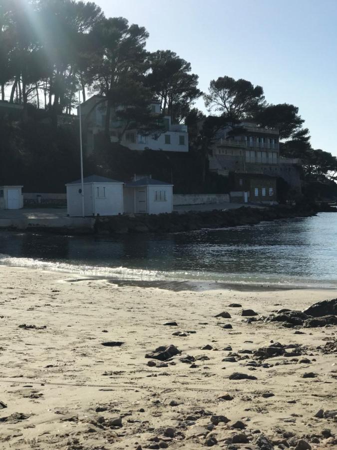 Studio 2 Adultes 2 Enfants Sanary Sur Mer A 800M De La Mer Exteriér fotografie