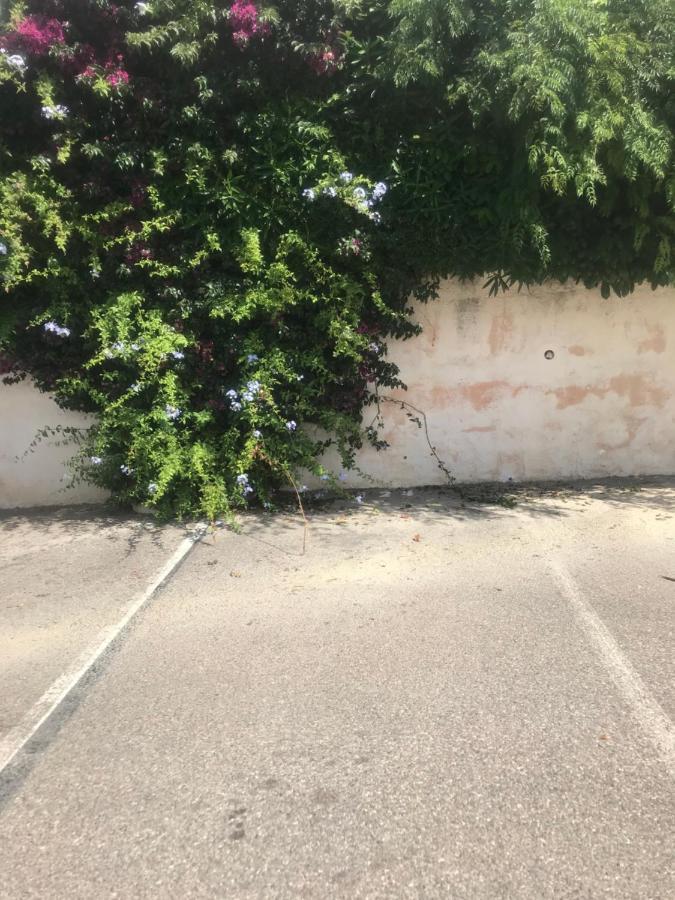 Studio 2 Adultes 2 Enfants Sanary Sur Mer A 800M De La Mer Exteriér fotografie